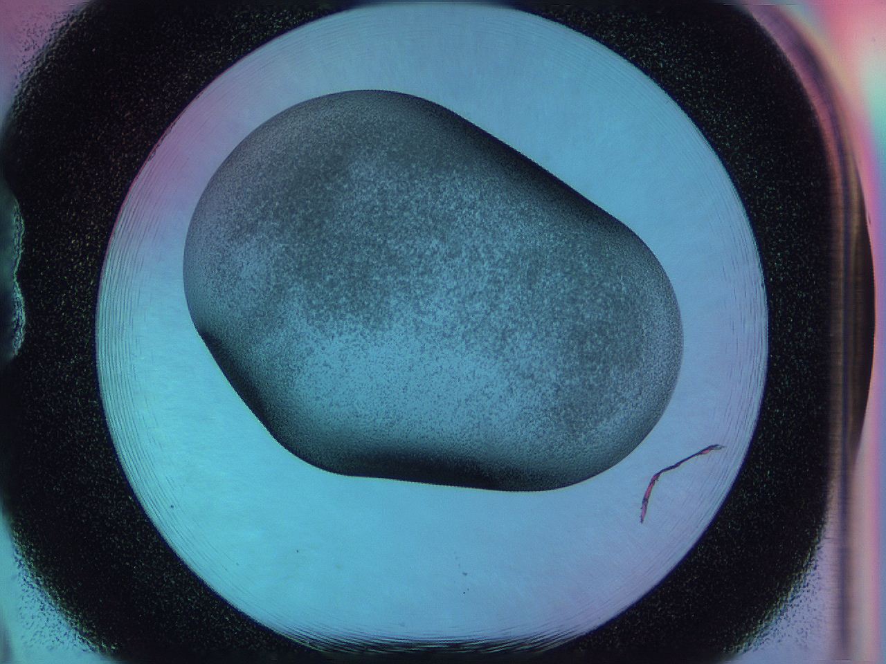 0585_B8_ImagerDefaults_3.jpg