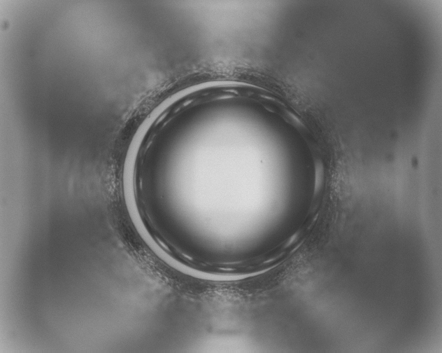 X0000052120739200507262051.png