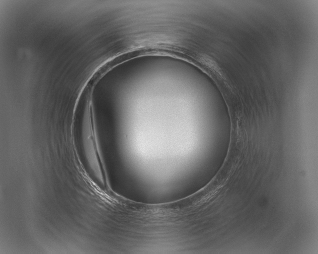 X0000055210924200508301318.png