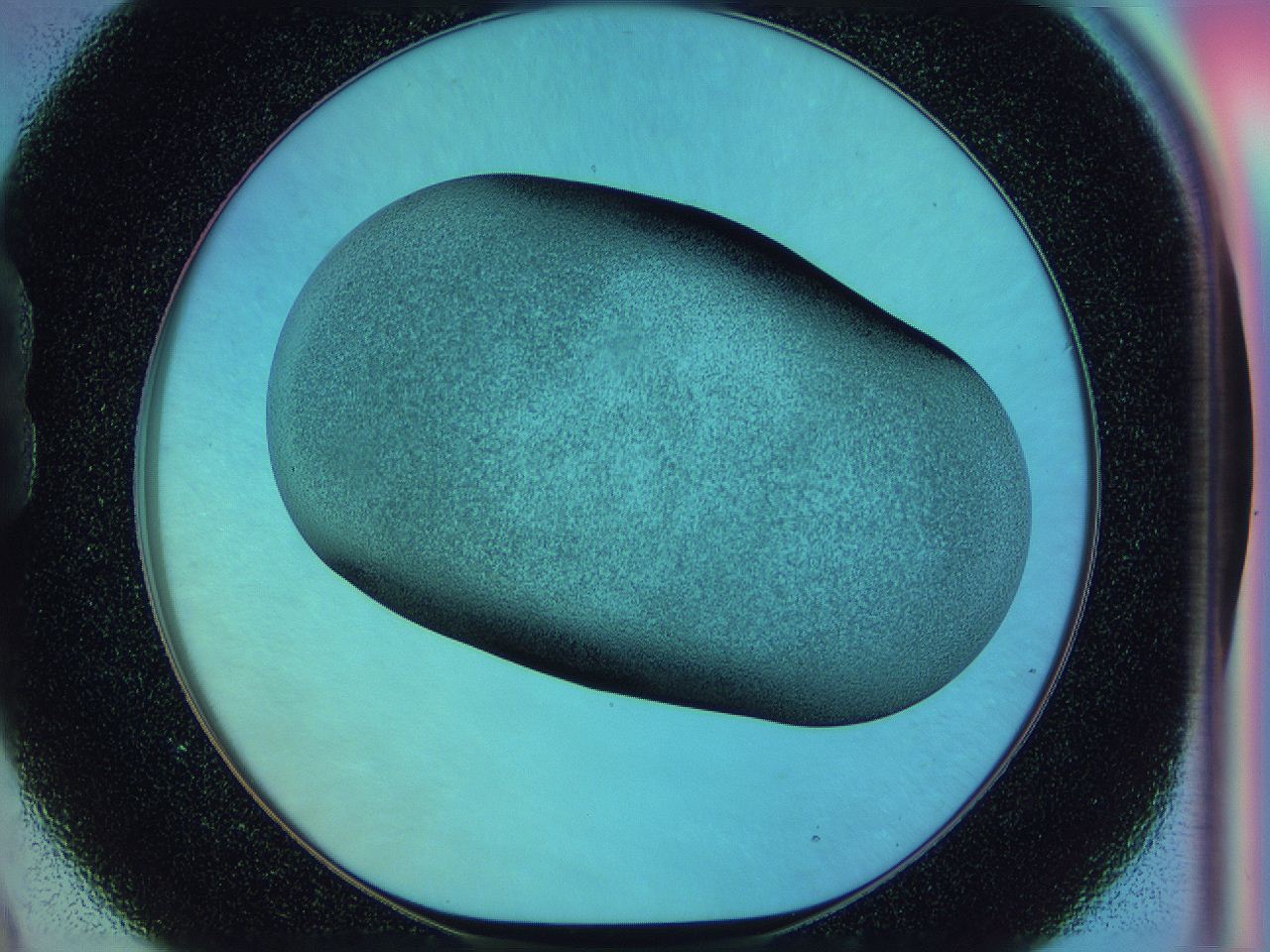 0585_B9_ImagerDefaults_3.jpg
