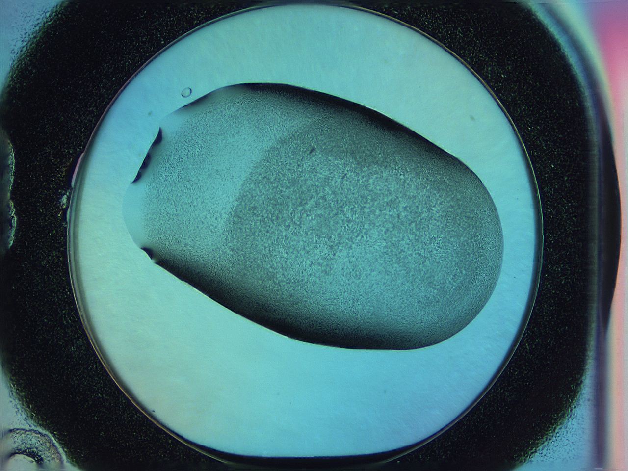0585_B10_ImagerDefaults_3.jpg