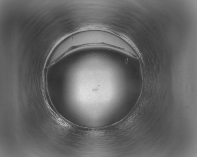 X0000055210996200508301317.png