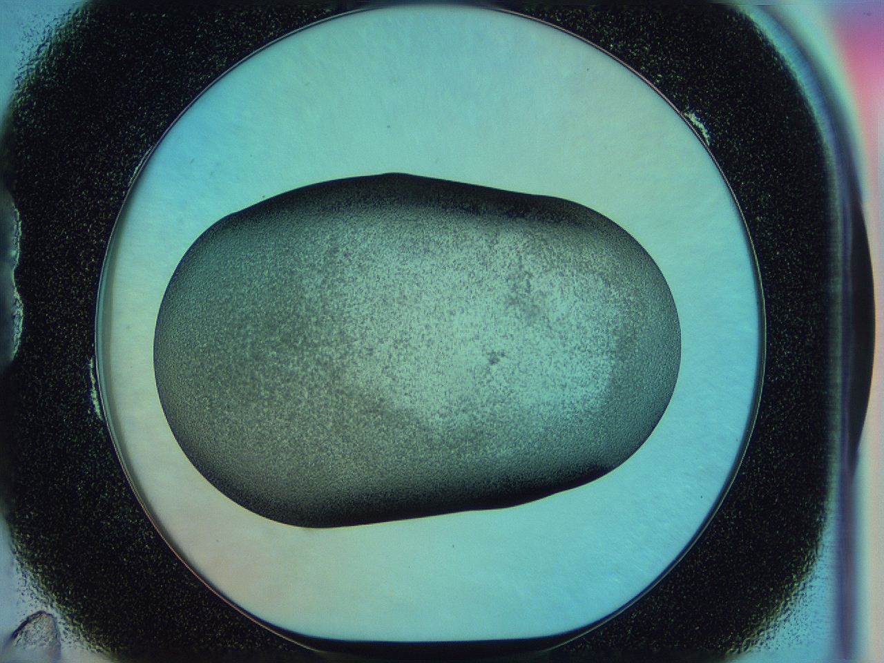 0585_B11_ImagerDefaults_3.jpg