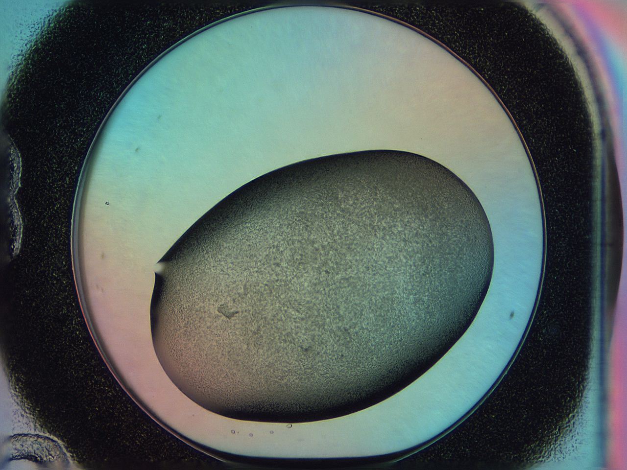 0585_B12_ImagerDefaults_3.jpg