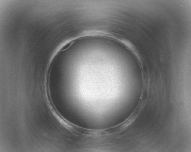 X0000054331438200508111907.png