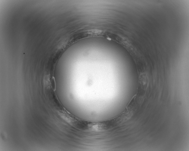 X0000054330564200508111922.png