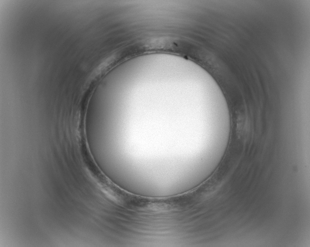 X0000054330490200508111923.png