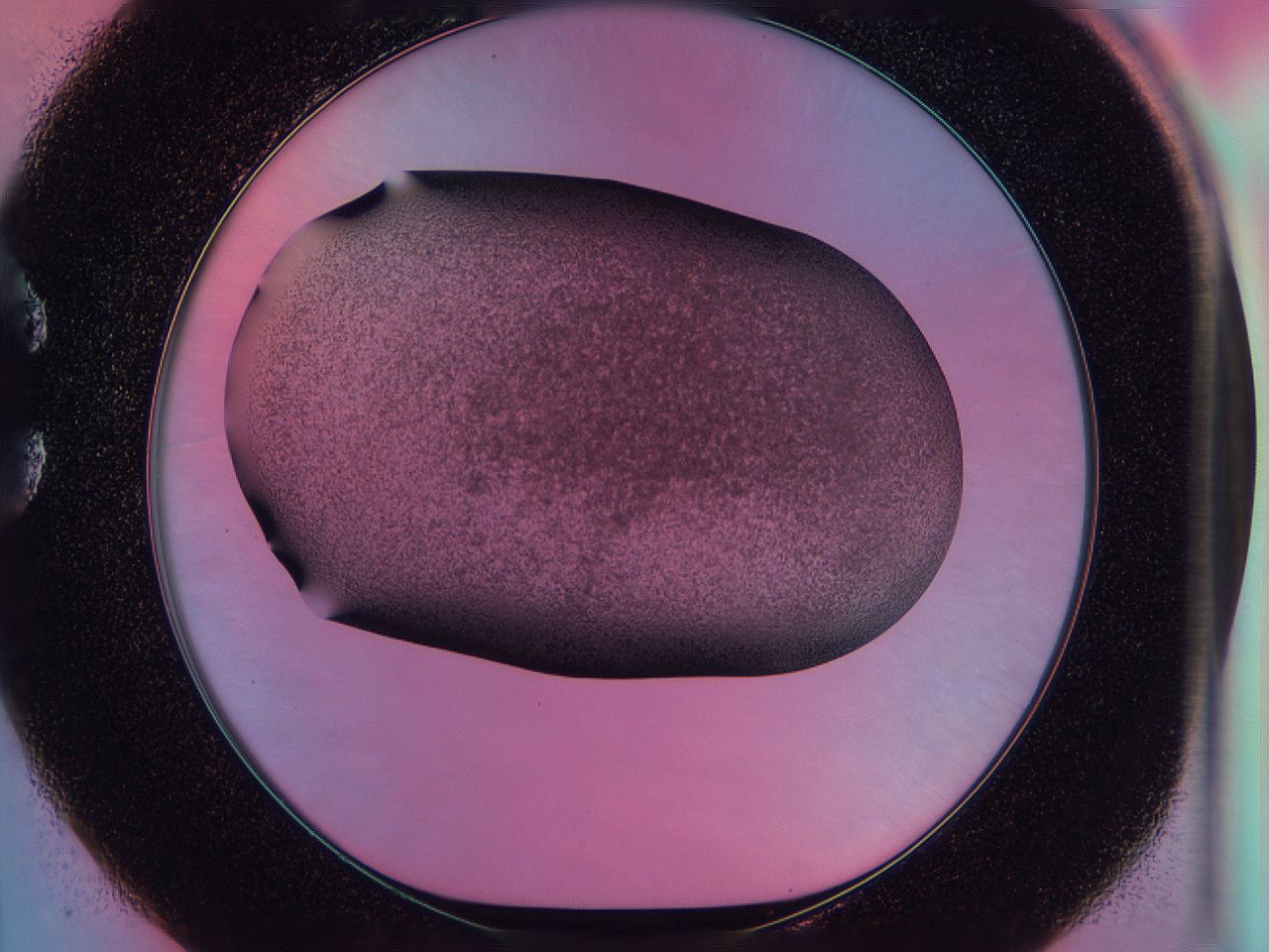 0585_C1_ImagerDefaults_3.jpg