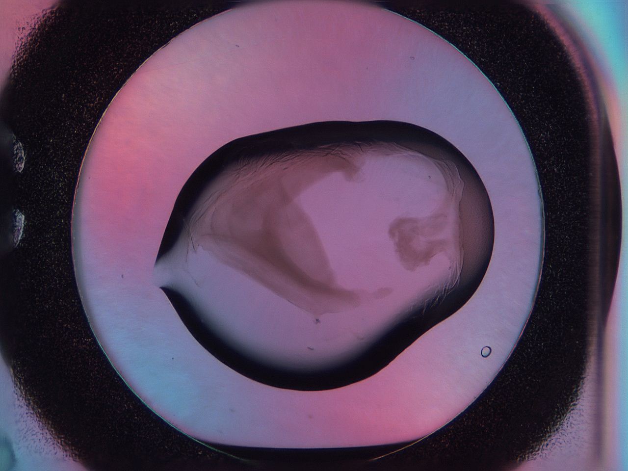 0585_C2_ImagerDefaults_3.jpg