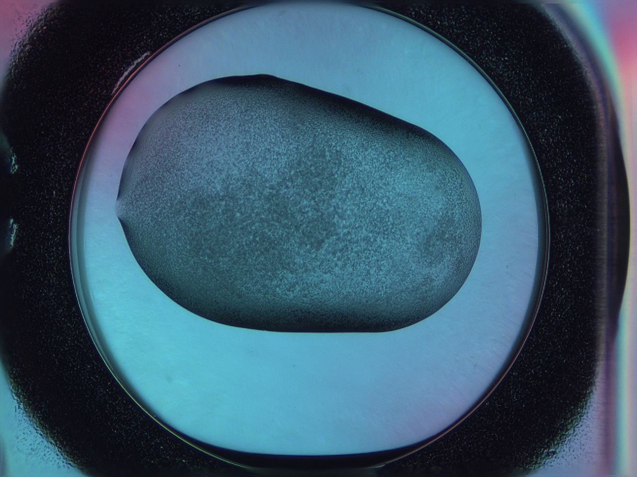 0585_C4_ImagerDefaults_3.jpg