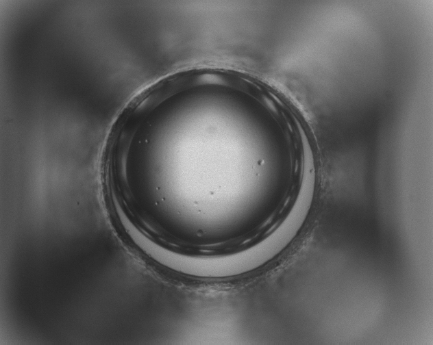X0000045451133200502011650.png