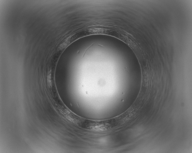 X0000055060267200508161653.png
