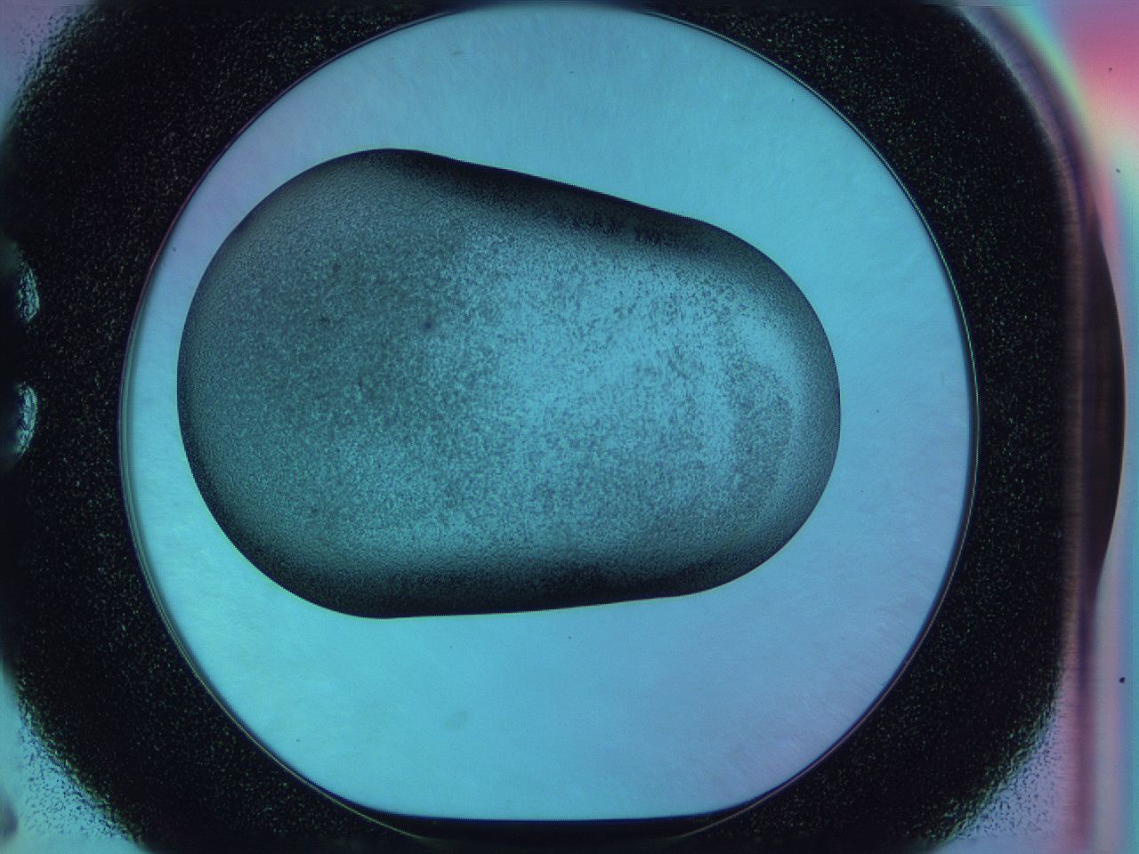 0585_C6_ImagerDefaults_3.jpg