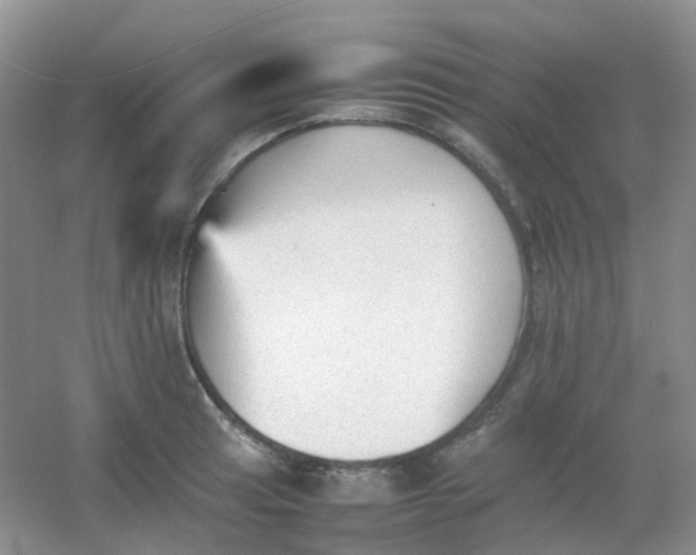 X0000054331041200508111914.png