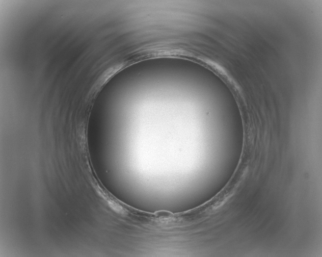 X0000054330897200508111916.png