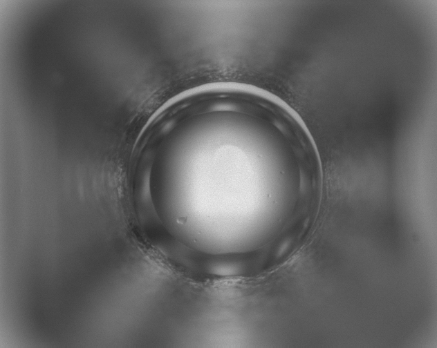 X0000052150188200507052001.png