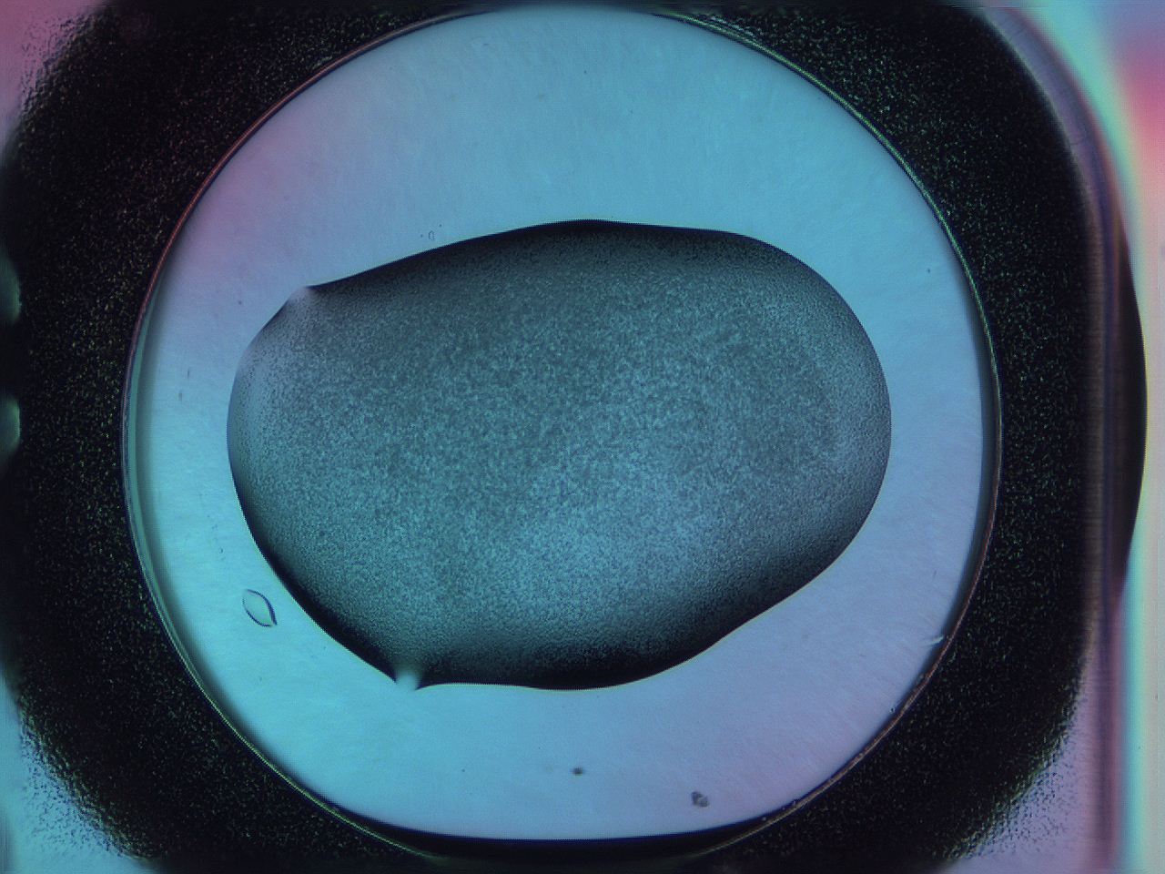 0585_C8_ImagerDefaults_3.jpg