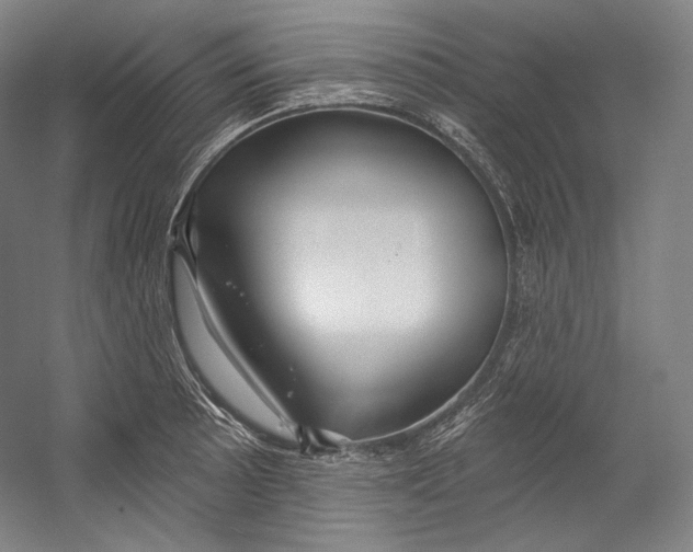 X0000055211089200508301315.png