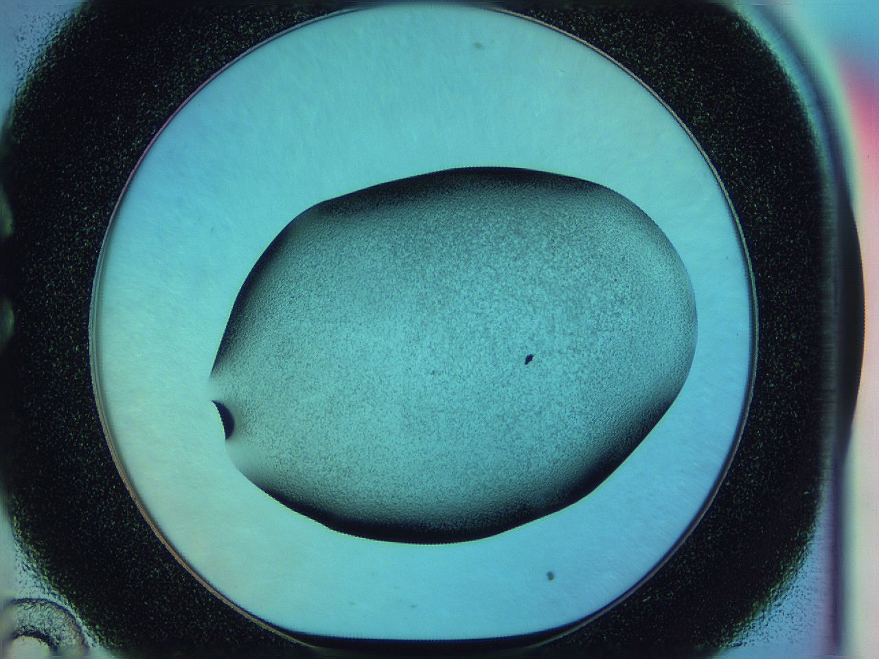 0585_C10_ImagerDefaults_3.jpg