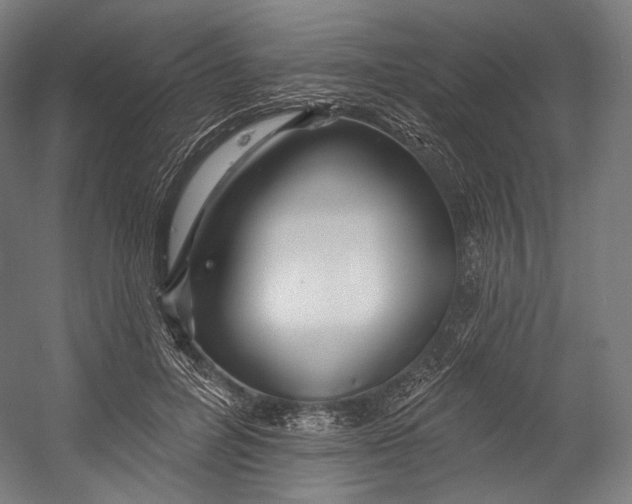 X0000055210600200508301324.png
