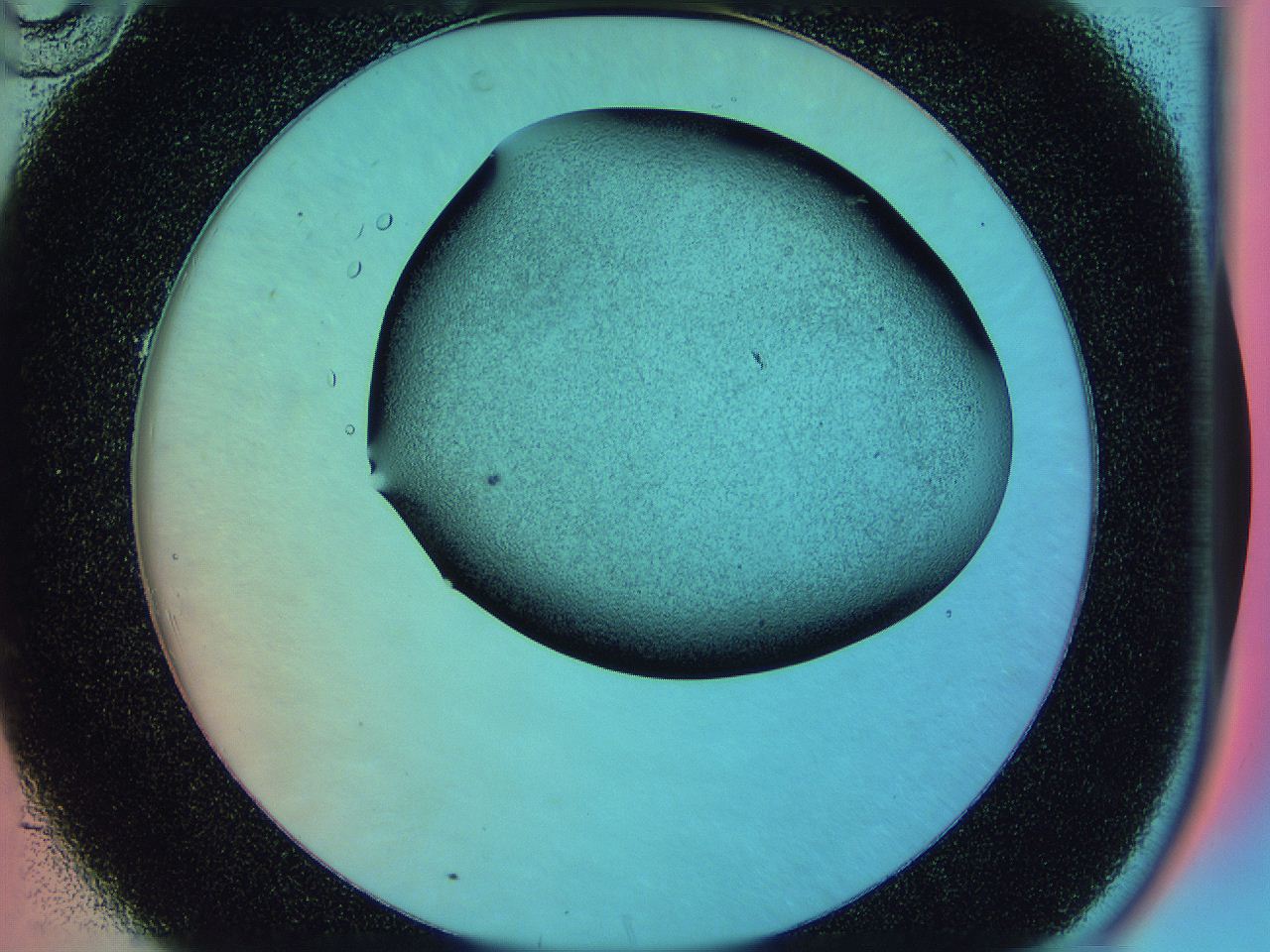 0585_C10_ImagerDefaults_0.jpg