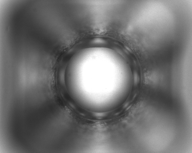 X0000046170606200502032042.png