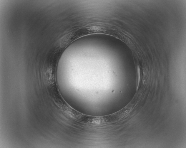 X0000055060420200508161651.png