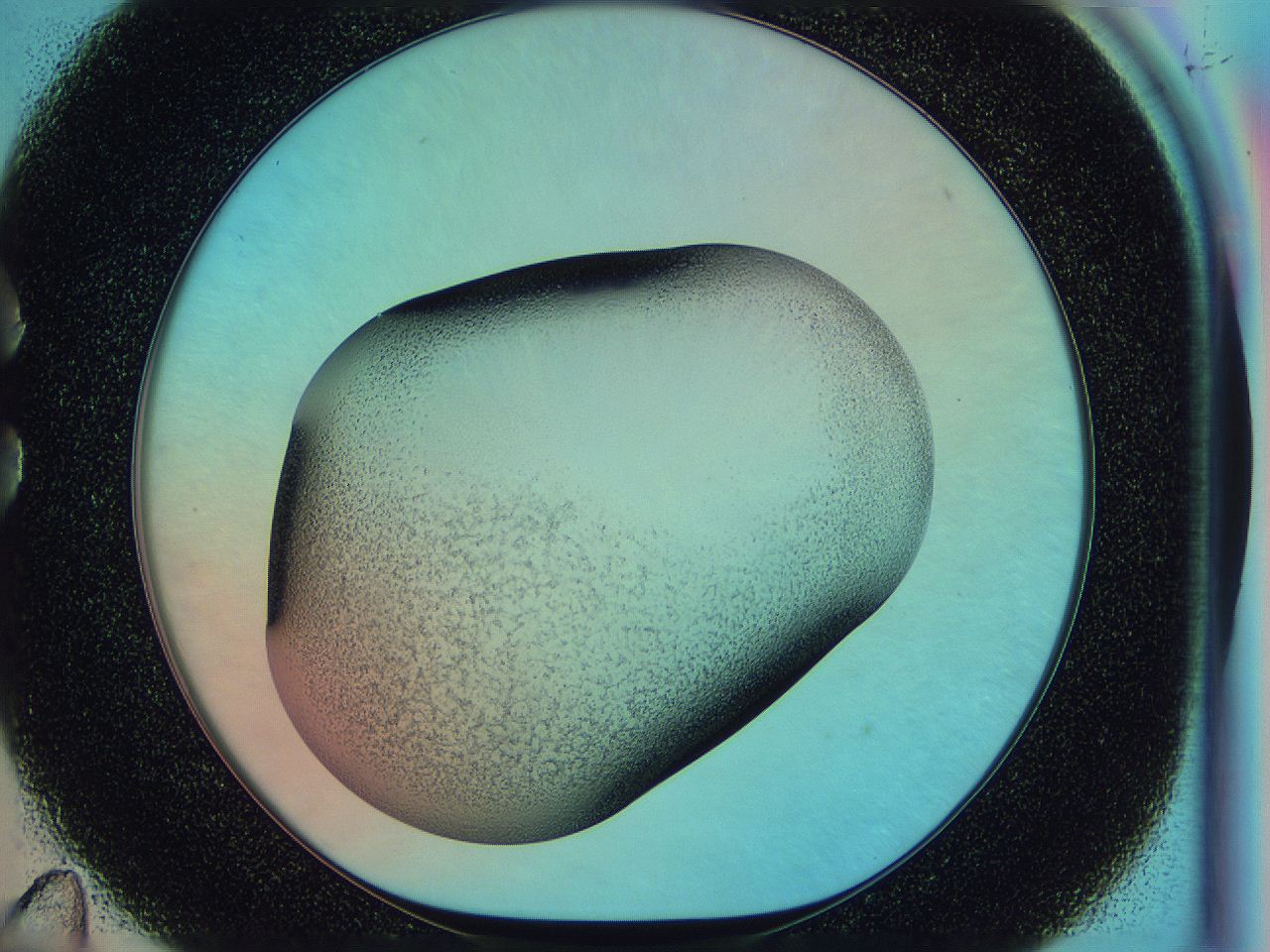 0585_C11_ImagerDefaults_2.jpg