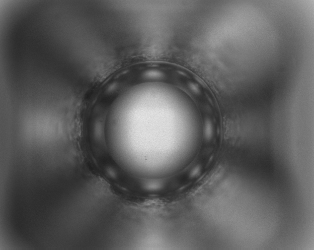 X0000045450478200502011701.png