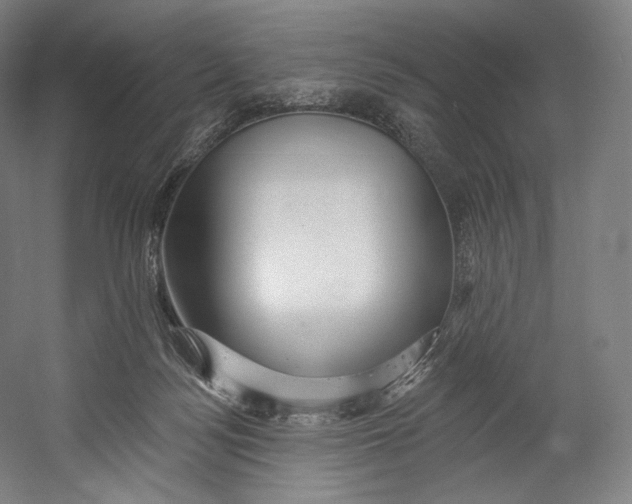 X0000055210172200508301331.png