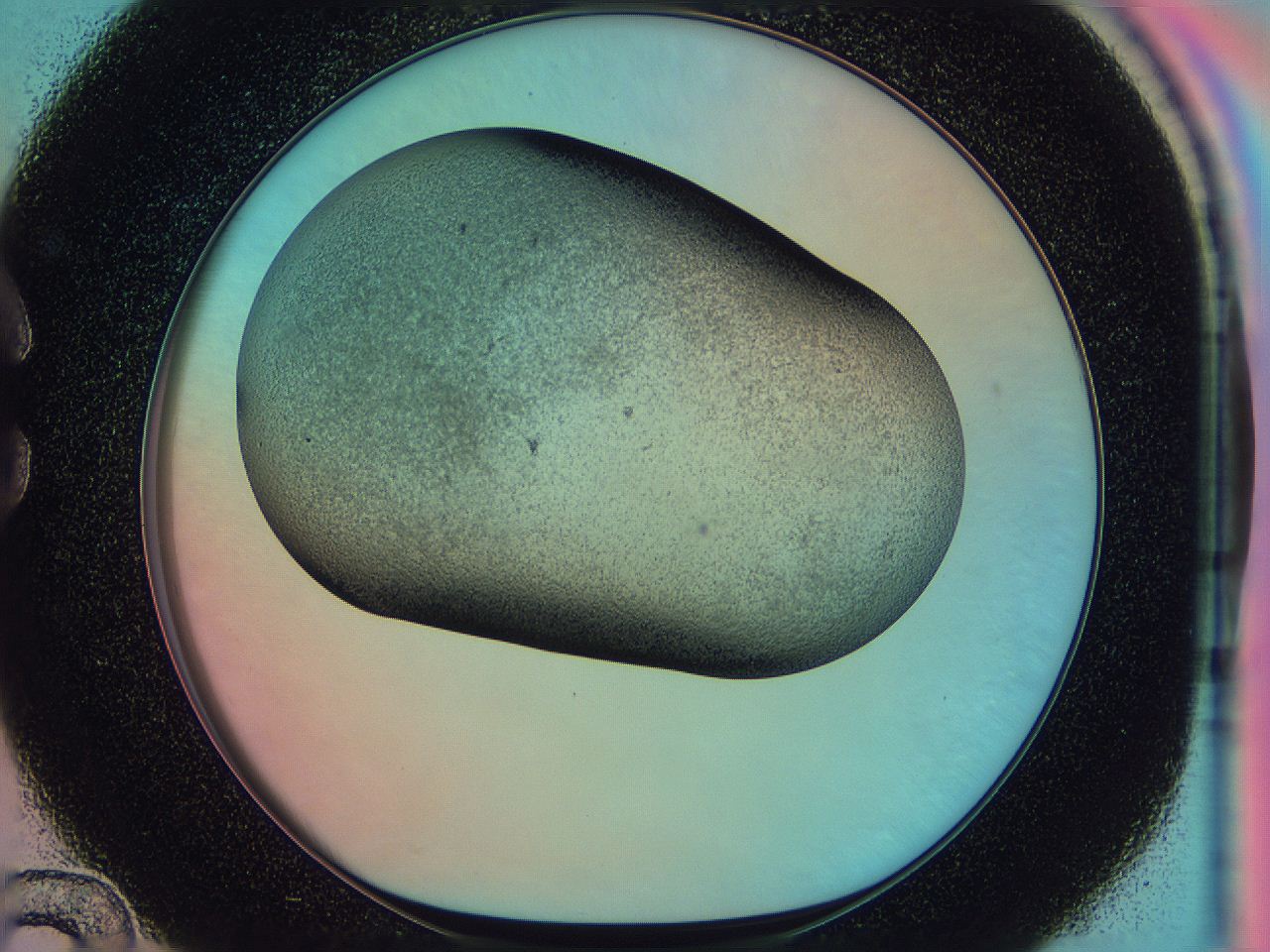 0585_C12_ImagerDefaults_3.jpg