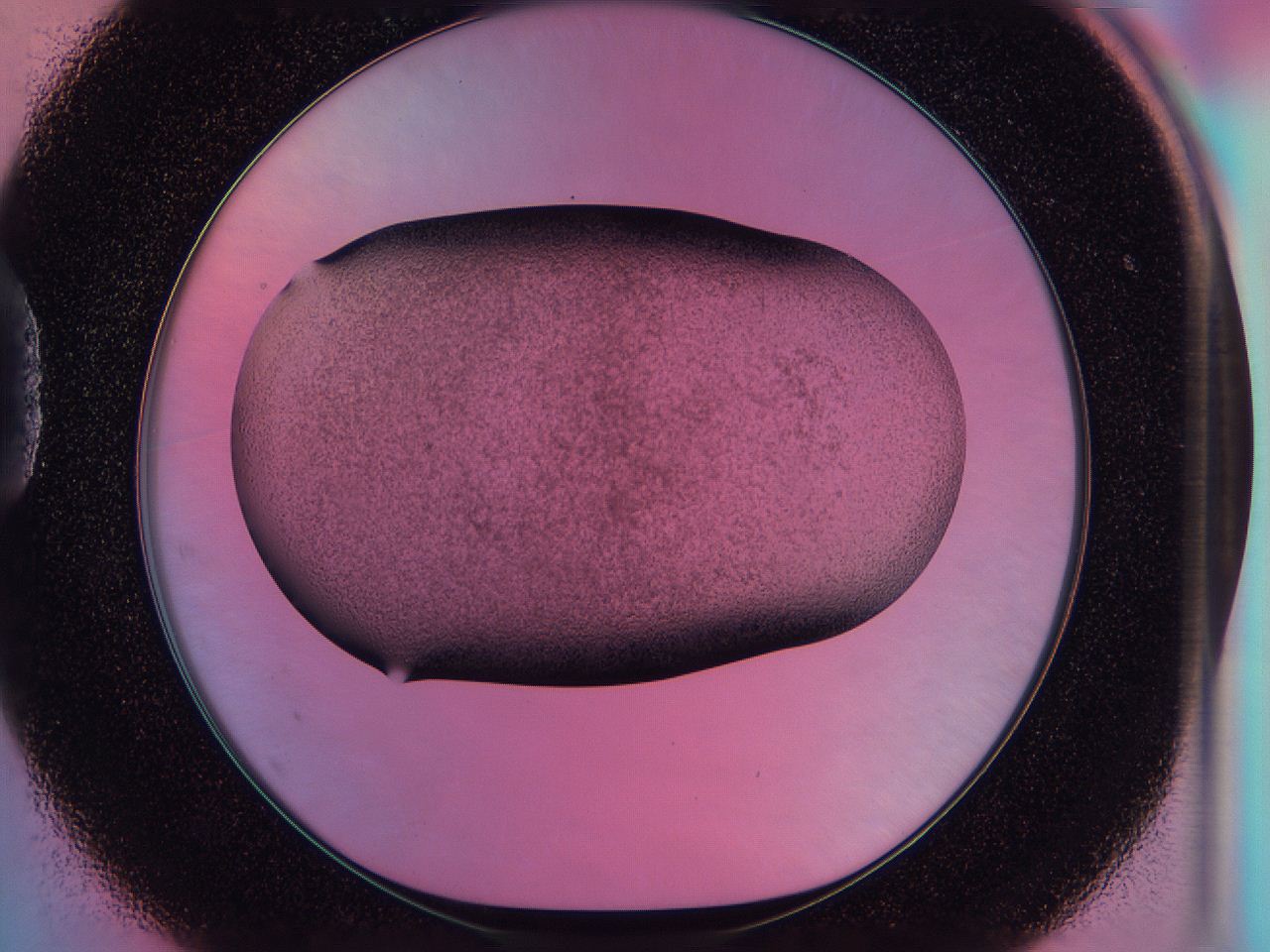 0585_D1_ImagerDefaults_3.jpg