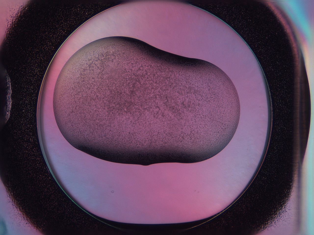 0585_D2_ImagerDefaults_3.jpg