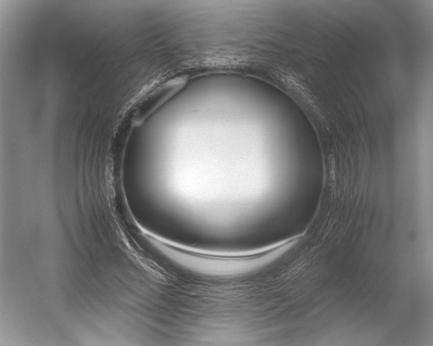 X0000055060684200508161646.png