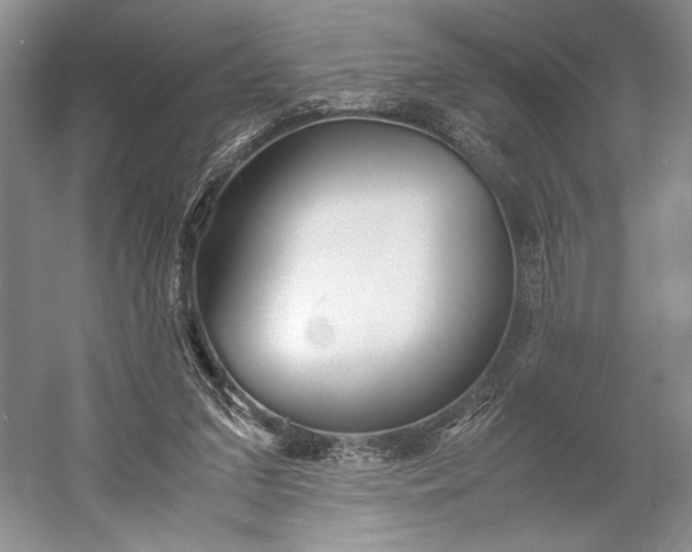 X0000055060207200508161654.png