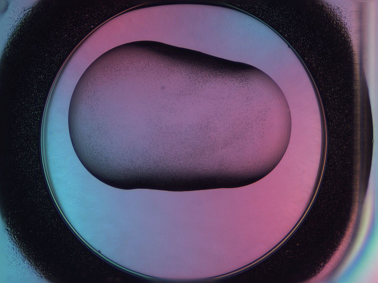 0585_D3_ImagerDefaults_2.jpg