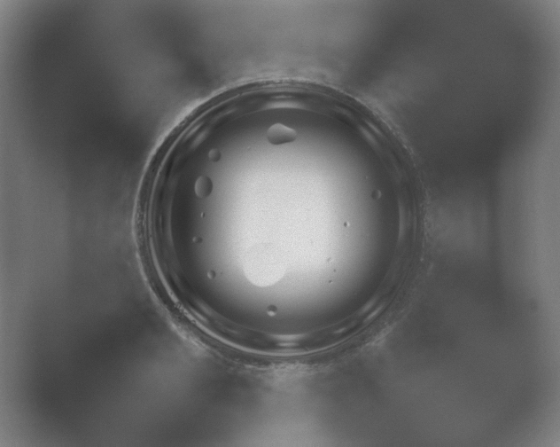 X0000054970893200509051501.png