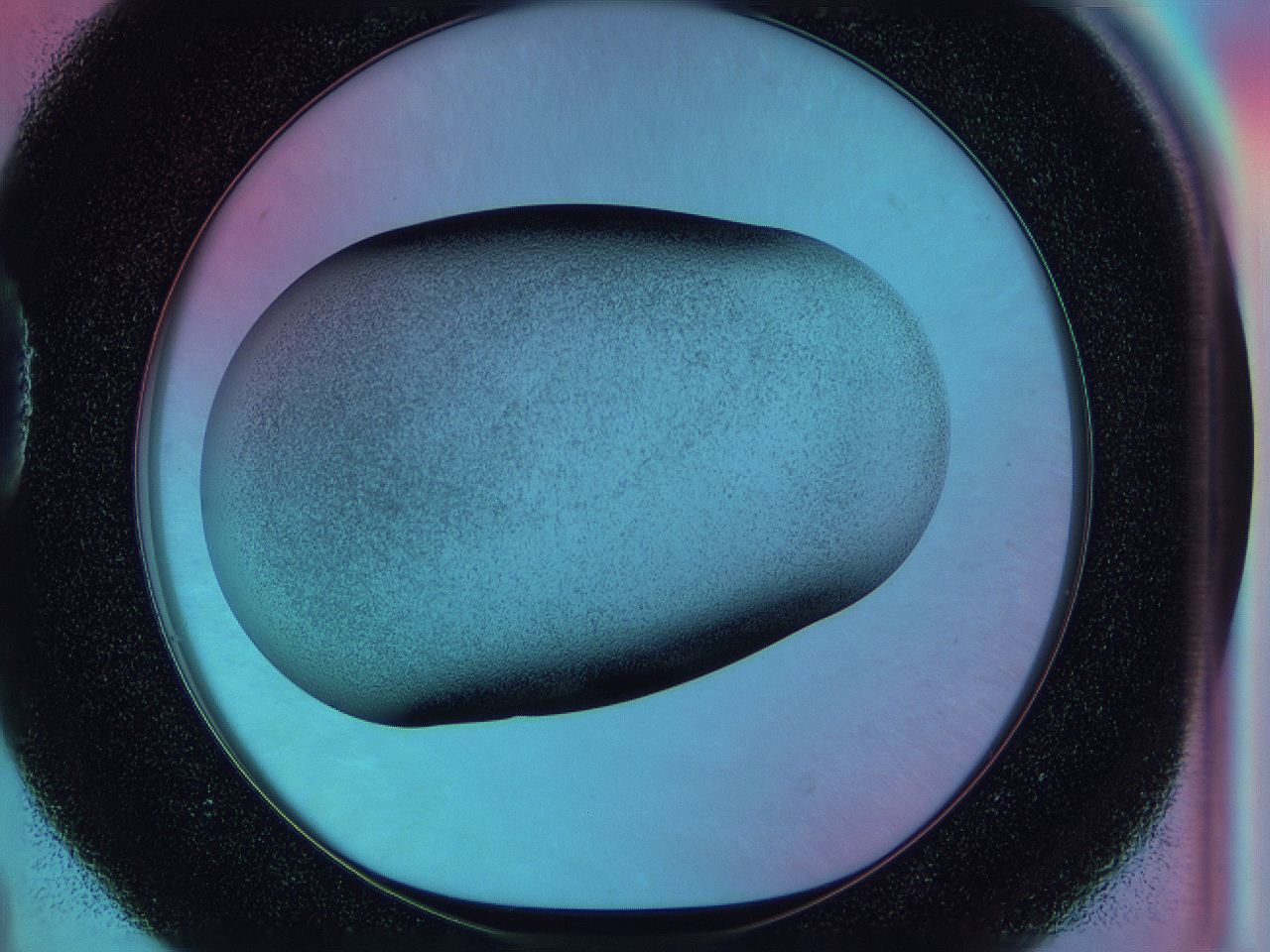 0585_D4_ImagerDefaults_2.jpg