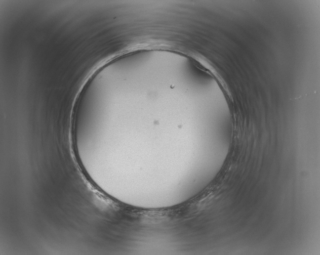 X0000055210861200508301320.png