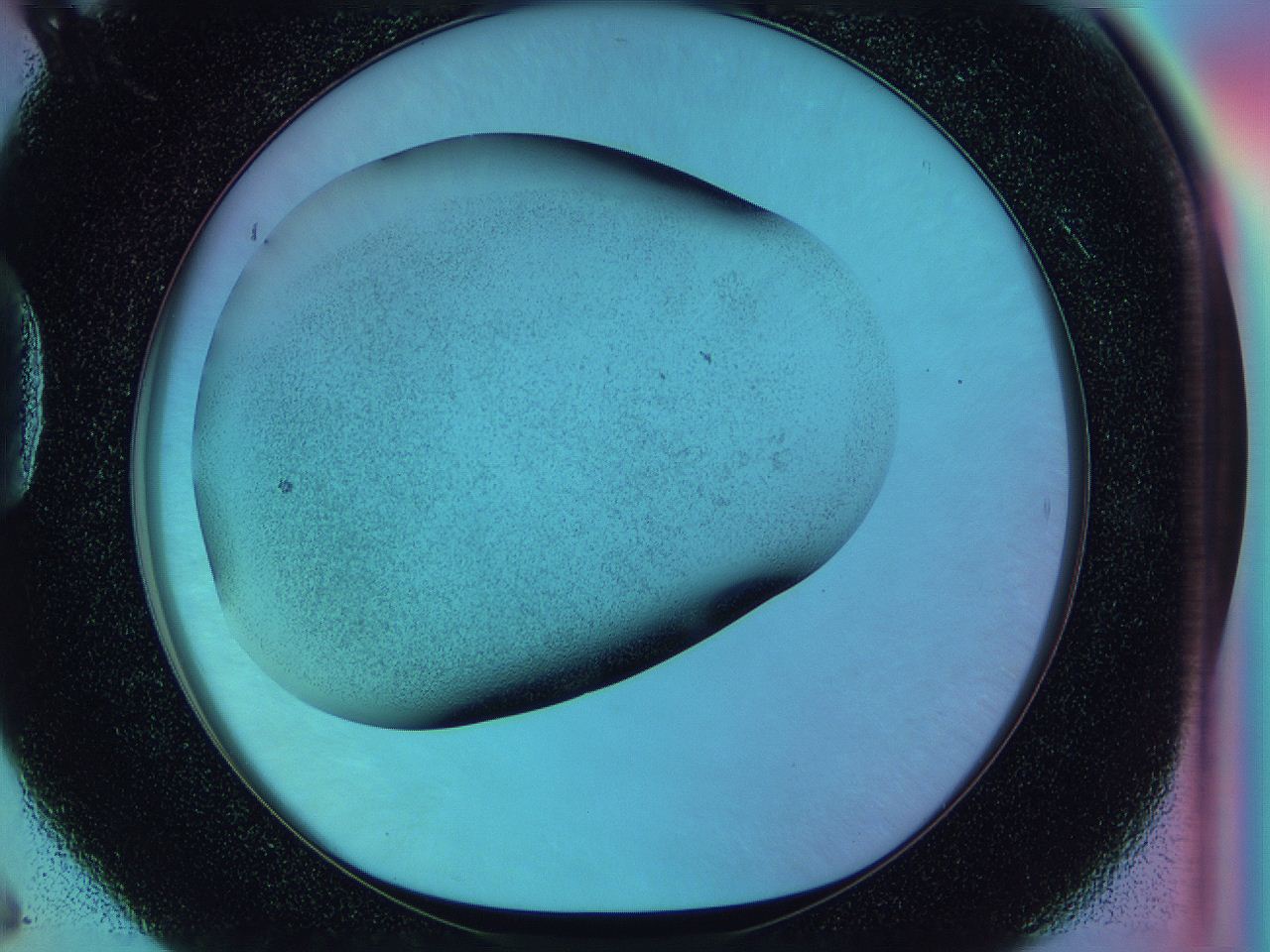 0585_D6_ImagerDefaults_2.jpg