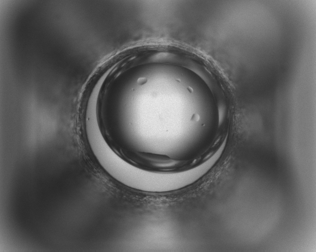 X0000041781168200411271513.png