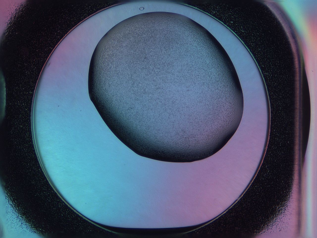 0585_D8_ImagerDefaults_3.jpg