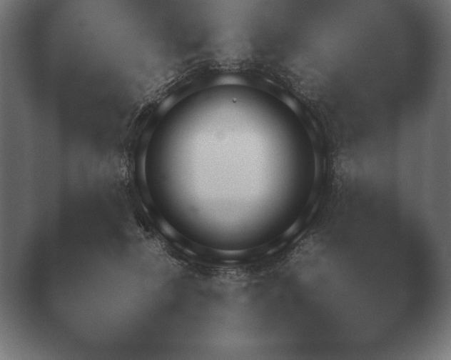 X0000040560278200411021436.png
