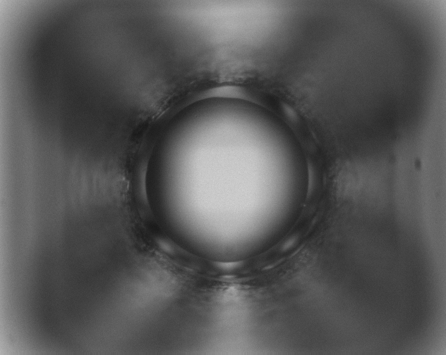 X0000038860316200409221711.png
