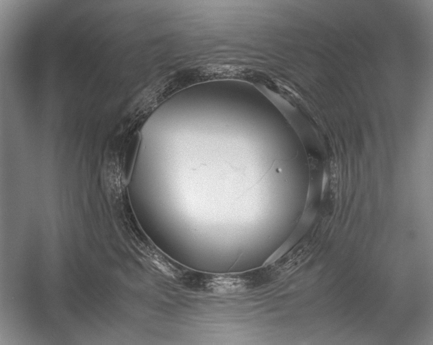 X0000055060617200508161647.png