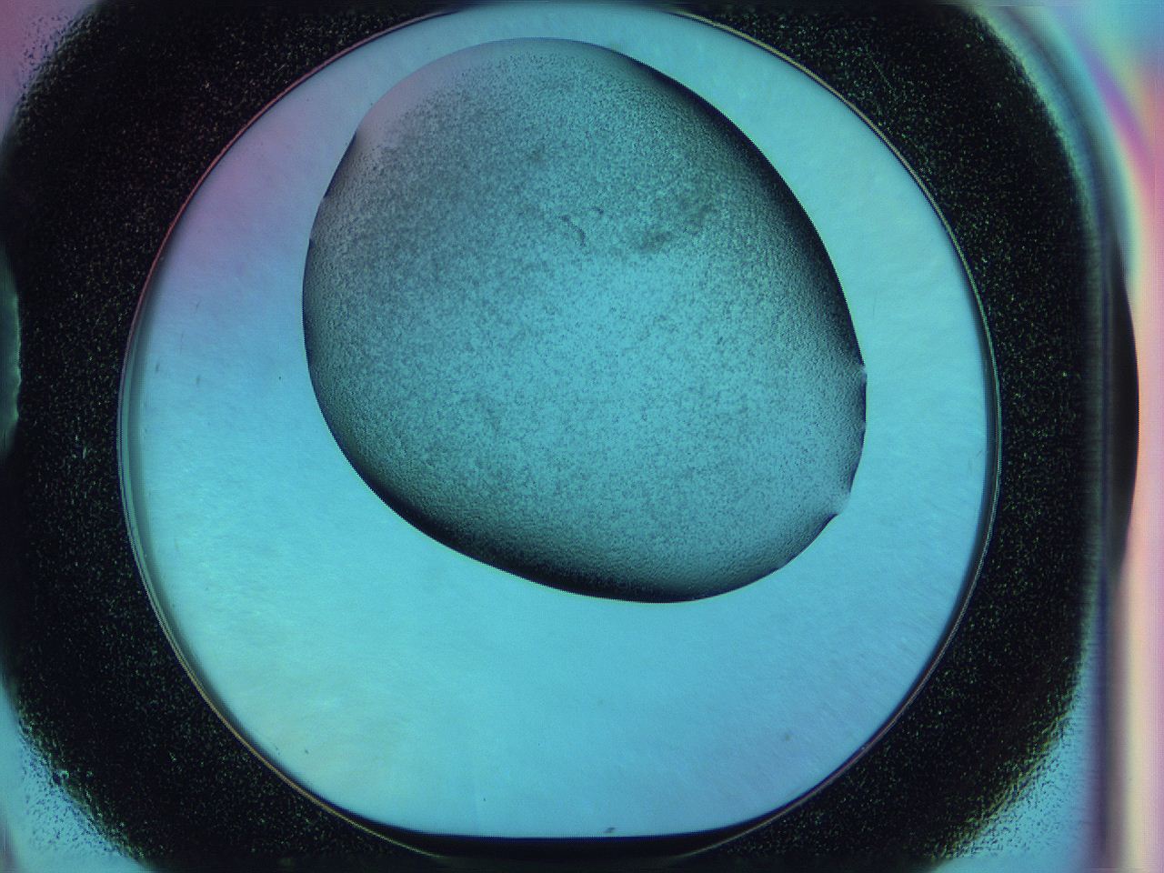 0585_D9_ImagerDefaults_3.jpg