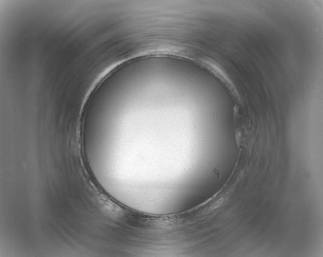 X0000054330948200508111915.png