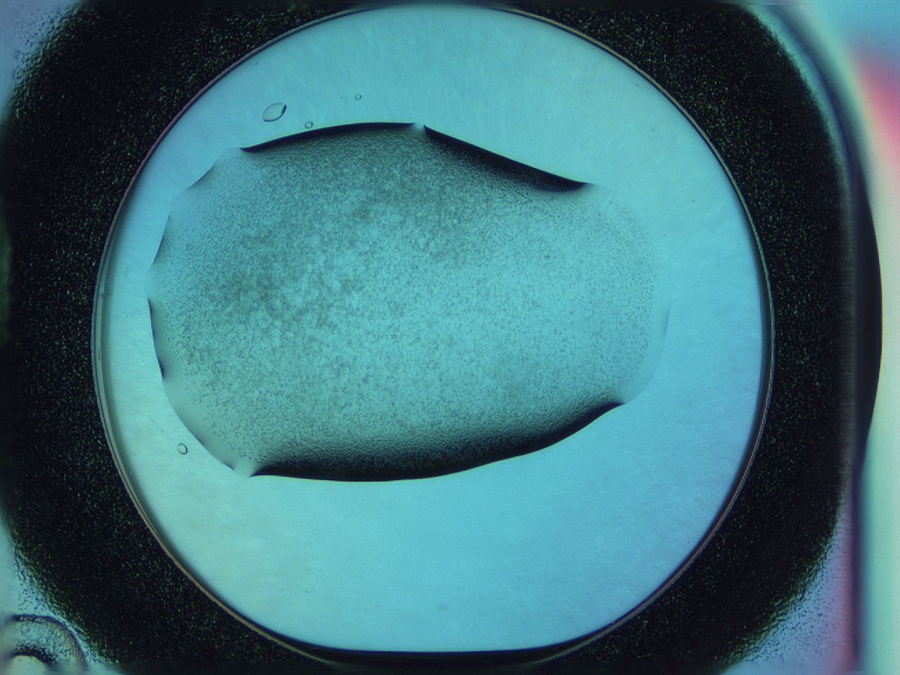 0585_D10_ImagerDefaults_3.jpg