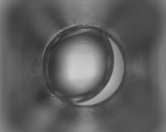X0000054930924200508291628.png