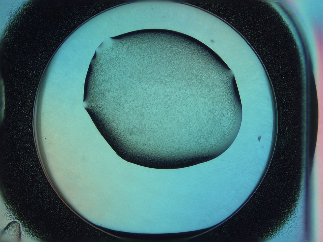 0585_D11_ImagerDefaults_3.jpg